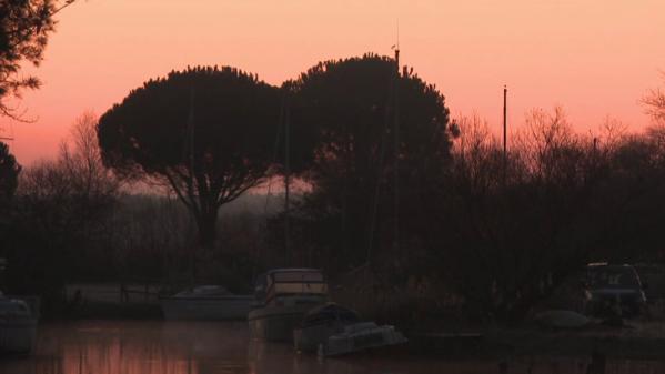 Lacs du Médoc : des travaux à l'enjeu écologique important