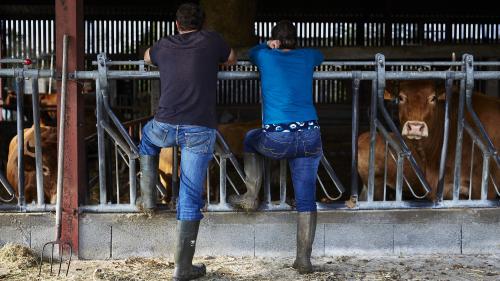 Retraites : les pensions de 200 000 conjoints d'agriculteurs, souvent des conjointes, revalorisées