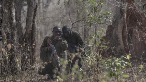 Le point sur African Parks, touché par des attaques terroristes au parc naturel W au Bénin