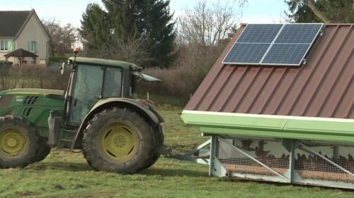 Élevage : un poulailler mobile et autonome