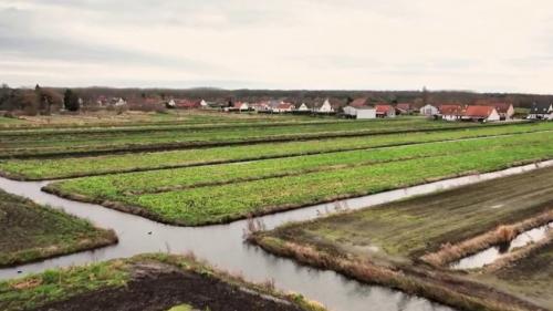 Nord : le marais audomarois, véritable patrimoine des habitants