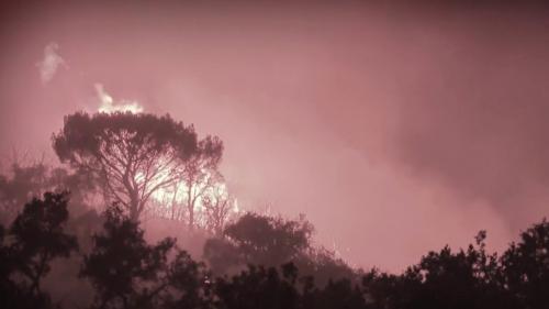 Deux gendarmes récompensés pour leur courage lors des terribles incendies du Var en 2021