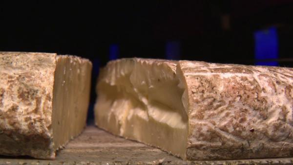 Saint-Nectaire : le fromage change de goût pour l'hiver