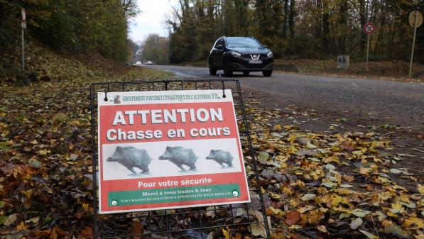 Accident de chasse : 