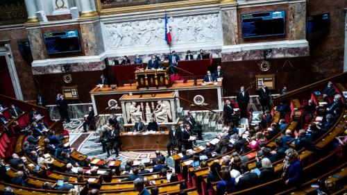 IVG : le Parlement adopte l'allongement du délai légal, de 12 à 14 semaines de grossesse