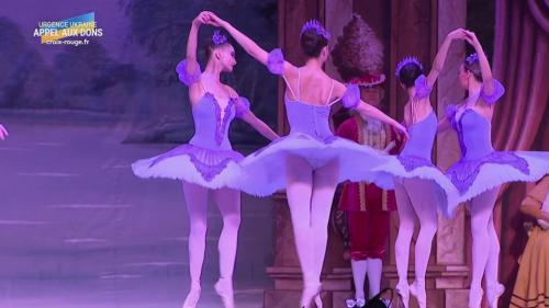 Culture : le ballet de Saint-Pétersbourg soutient l'Ukraine