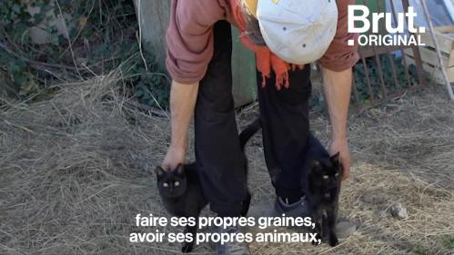 VIDEO. Il y a sept ans, il a tout plaqué pour se consacrer à la permaculture