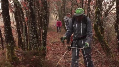 Forêts : faute d'entretien, les chemins ruraux disparaissent