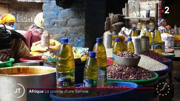 Alimentation : en Afrique, la crainte d'une famine en raison de la guerre en Ukraine