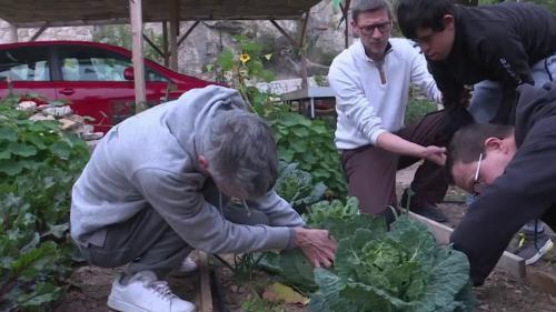 Trisomie 21 : un collectif organise des formations pour favoriser l'autonomie des personnes handicapées