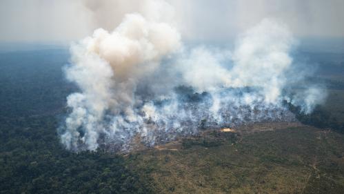 La destruction de la biodiversité menace la stabilité économique, pointe un rapport