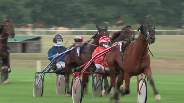 Hippisme : une enquête policière lève le voile sur l'ampleur du dopage équin