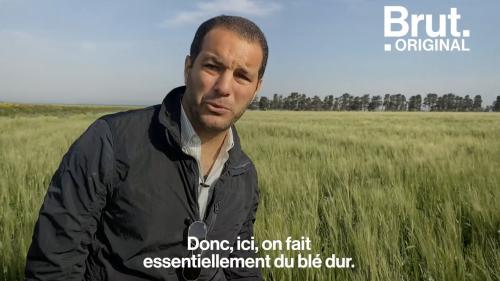 VIDEO. En Tunisie, il appelle à une production de blé locale