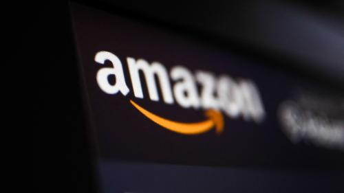 Territoire de Belfort : la justice annule un permis de construire délivré pour Amazon