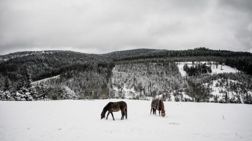 Neige et verglas : plus que dix départements du quart sud-est de la France en vigilance orange