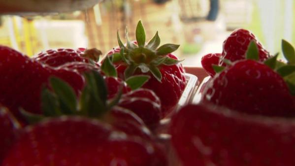 Alimentation : des fraises en abondance et des prix abordables pour la saison 2022