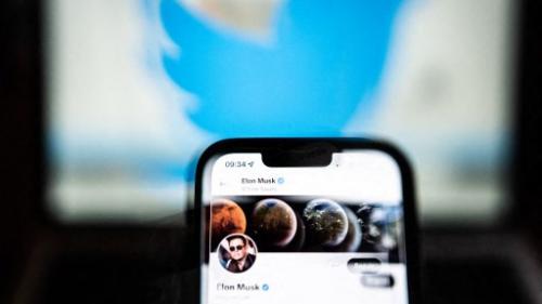 Rachat de Twitter par Elon Musk : pourquoi la liberté d'expression totale prônée par le milliardaire a de quoi inquiéter