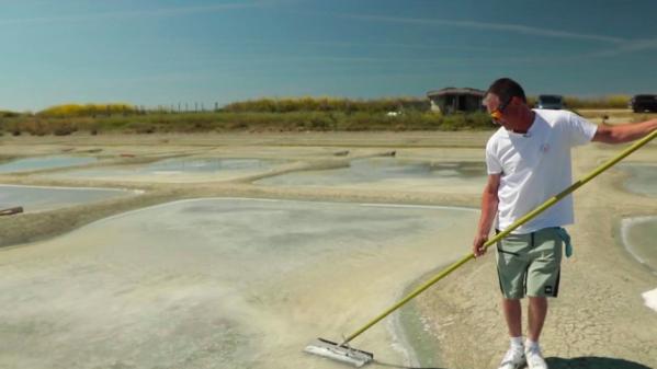 Alimentation : l'heure de la récolte du sel à Noirmoutier