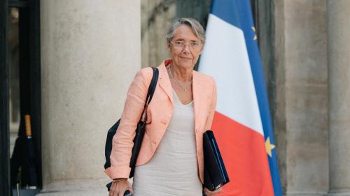 Remaniement : quel est le bilan d'Elisabeth Borne lors de ses passages aux ministères des Transports et de la Transition écologique ?