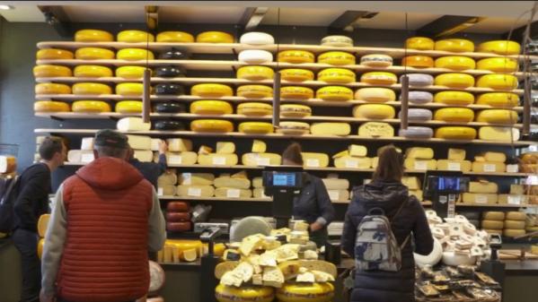 Gastronomie : le gouda, le fromage traditionnel des Pays-Bas