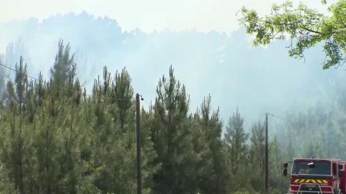 Sécheresse : en Ardèche, départs d'incendies précoces pour la saison