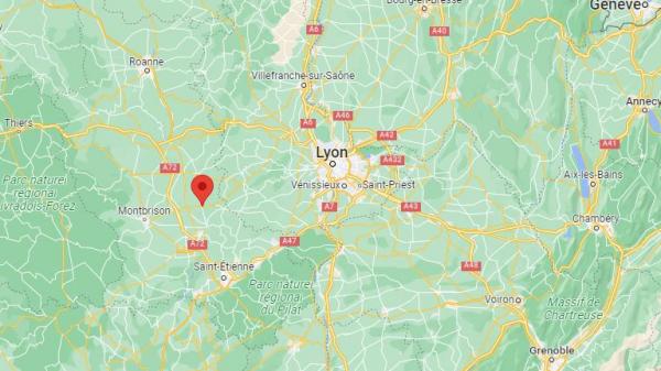 Loire : une soixantaine de chats retrouvés congelés ou enterrés dans une maison à Bellegarde-en-Forez