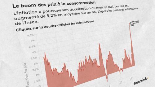 INFOGRAPHIES. Hausse du coût de la vie : visualisez l'explosion des prix à la consommation en deux graphiques