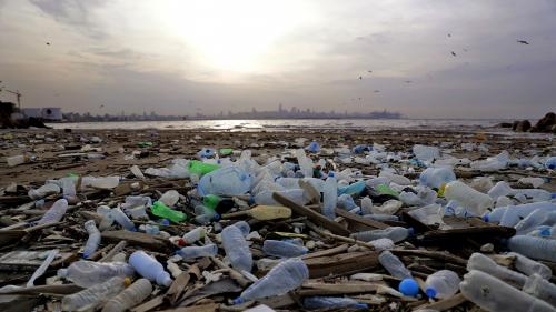 L'OCDE alerte sur une forte augmentation prévue de la production et des déchets plastiques