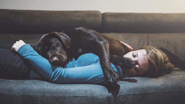 Le propriétaire peut-il interdire au locataire d'avoir un chien ?