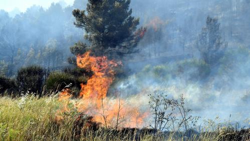 Incendies : les pompiers de France prévoient 