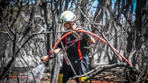 Chaleurs précoces, vent et sécheresse : comment les pompiers s'organisent pour tenir tout l'été