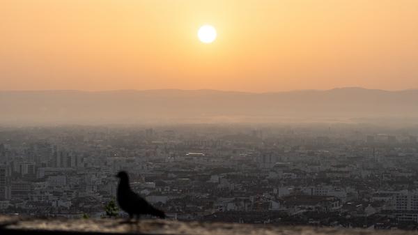 Vague de chaleur : un épisode de pollution de l'air à l'ozone est prévu dans une vingtaine de départements