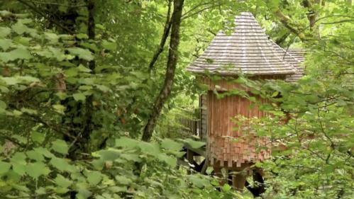 We demain : les cabanes, l'habitat de demain ?