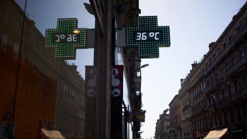 DIRECT. Canicule : 18 millions de Français concernés par les vigilances rouge et orange aux fortes chaleurs aujourd'hui