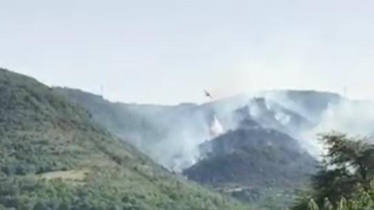 Canicule : un fort risque d'incendie dans le sud de la France