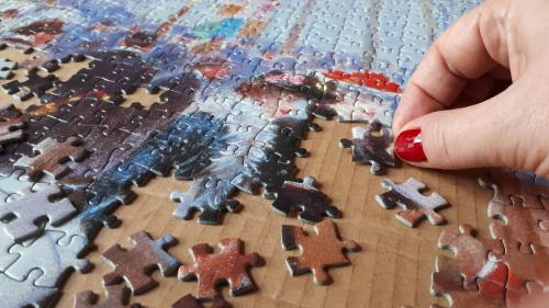 Championnats du monde de puzzle : 