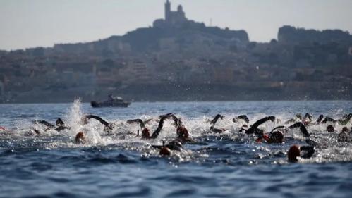 Un banc de méduses attaque les nageurs du Défi Monte Cristo, dans la baie de Marseille