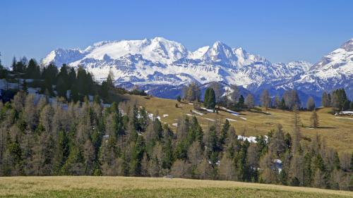 Au moins cinq morts et huit blessés dans l'effondrement du glacier de la Marmolada, dans les Alpes italiennes