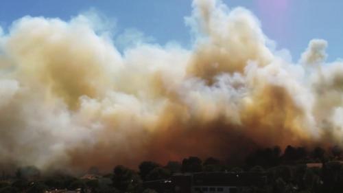 Incendies : dans les Bouches-du-Rhône, Martigues et Arles sont menacées par les flammes