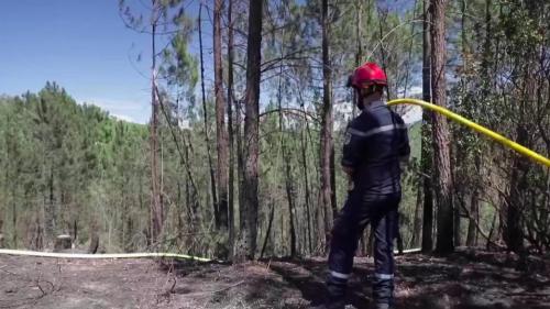 Incendies : témoignages de pompiers sur le terrain