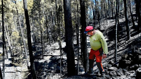 Gard : l'incendie des Cévennes toujours sous haute surveillance