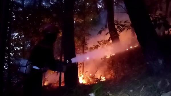 Incendies : dans les Cévennes, les pompiers sont toujours sur le qui-vive