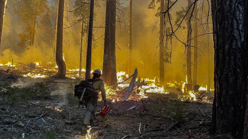 Etats-Unis : un incendie hors de contrôle menace les séquoias géants du parc de Yosemite