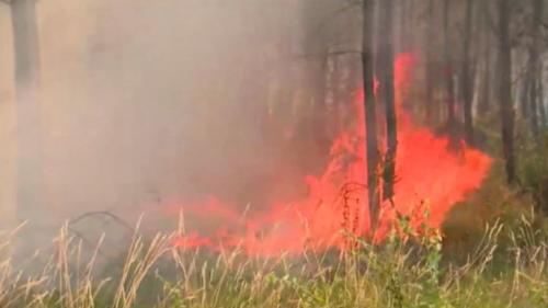 Incendies en Gironde : les deux incendies toujours pas maîtrisés