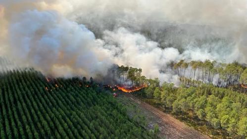 Gironde : ce que l'on sait des incendies qui ont dévoré 1,5 fois la taille de Bordeaux