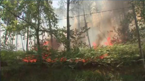 Incendies : la situation est très inquiétante en Gironde