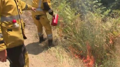 Incendies en Gironde : le combat incessant des pompiers contre les flammes