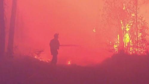 VIDEO. Incendies en Gironde : une nuit auprès des soldats du feu