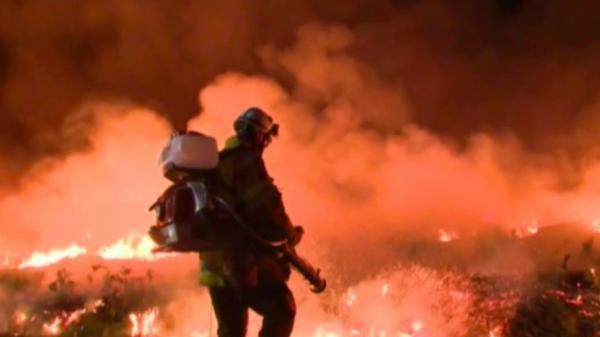 VIDEO. Incendies en Gironde : le feu 