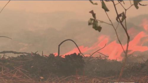 Incendies en Gironde : les pompiers mènent une lutte acharnée